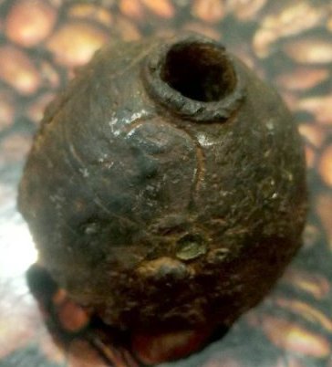 IMG a560a05dbbc4f6544fb3ee06622e849e V 800