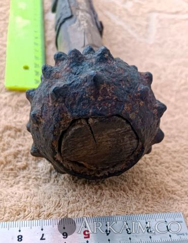 photo 2024 12 16 11 06 33