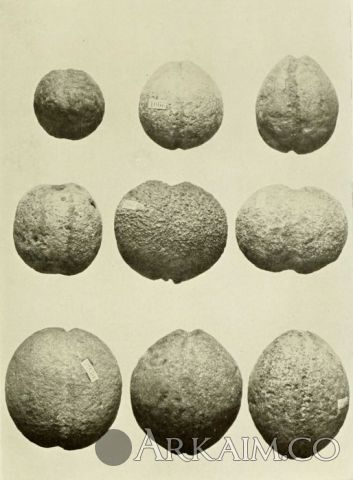 432181 e21714eafa9cf03f2ad519d978374cb7