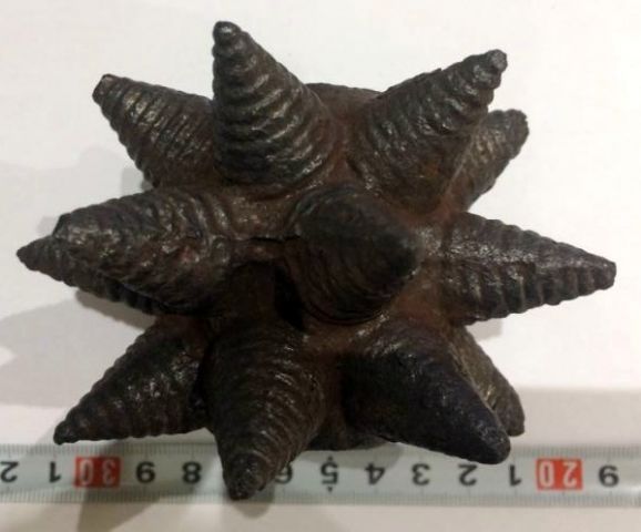 IMG 4031 03 12 19 04 43