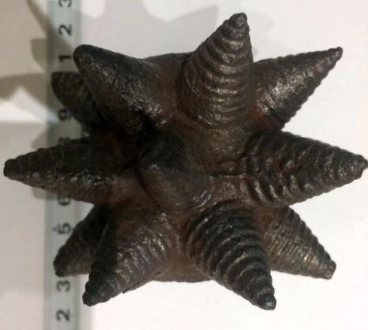 IMG 4032 03 12 19 04 43