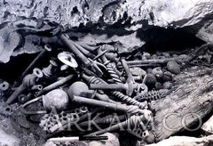 121963064 203800134452502 3323067106822389860 N