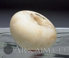 435272 b6548767c20e6f579fb9924f4d72c343