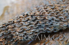 8784a3f4fa948e96af501dd1066ab571