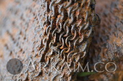 8c145219280af4edf314585704f95198