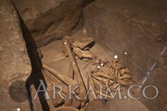 79265657 large 733907 8