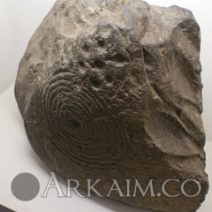 79265651 large 733907 4