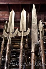 7932428866 403943bcfd B