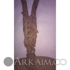 435731 aab09d3dd0eafa4b447ea870dc340e7f