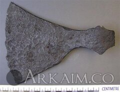 музей Ашмола Британия