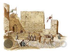 Лука Тарлацци14