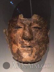 48910557 1966054980157891 5757776884356087808 N