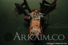 0 e4b86 31492075 orig