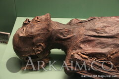 0 e4b92 a71d524c orig