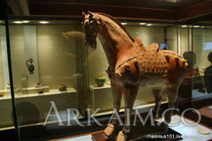 0 d5520 831c1172 orig