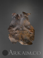 12 The thetis fragment 1024x0