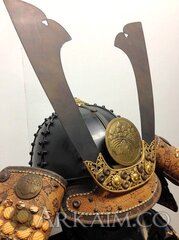 1441306882 kuvagata I disk S izobrazheniem pavlonii mezhdu nimi