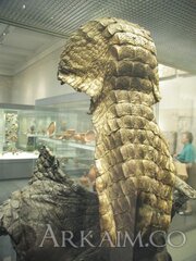 5697f8f12e771 P1015835