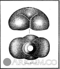 photo 2025 04 06 14 43 15 (2)