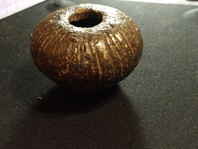 photo 2024 03 16 19 44 29