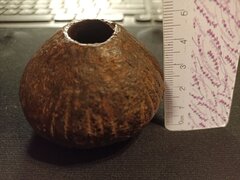 photo 2024 03 16 19 44 28