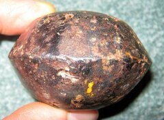 1.2 Палица. Кавказ (03 05)