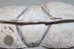 364386 f0cebb6f9c15b8035bf7dc8326606171