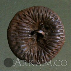 416633 cdfcc4a710a7754b7eeea5d07c3a1d3c