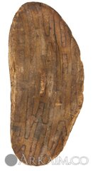 425679 d816c641254389c09aeebba039517746