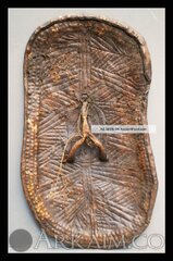 416642 22fad50f7faf23fbd11d00a73994f9f1