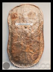 416641 964a6c21c2832c6517731cf1e0b4a3a3