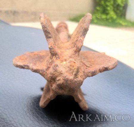 WP 20170807 16 35 17 Pro 800