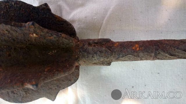 WP 20170810 14 07 56 Pro 800