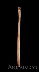 431835 b0ede4988c9dacfa67919ed85463354e