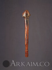 423640 6011752b65030895f02612aa75243513