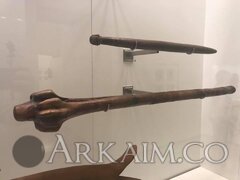 56201144 2114327378663983 5782595696473407488 N