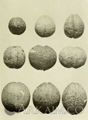 432181 e21714eafa9cf03f2ad519d978374cb7