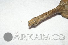 438109 1988708d7522246de219404362bff7a6