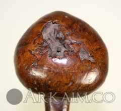 423888 f4cdc2a4e67b2571ccee19acb6b66c18