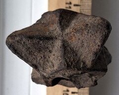 photo 2026 01 07 16 51 48 (4)