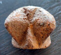 photo 2023 09 23 21 26 19