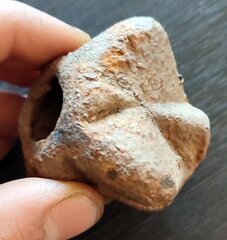 photo 2023 09 23 21 26 09