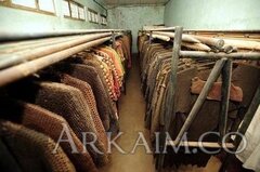 50667326 2025452214170804 4830015505483956224 N