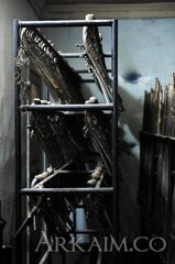 50827373 2025453727503986 7294896716967313408 N