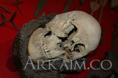 59678227 2095970540458270 5011702556364111872 O