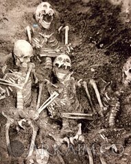 59168491 2095970207124970 4701774117102157824 N