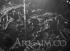 59537055 2095969923791665 4966809195954307072 O