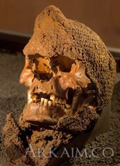 59064624 2095980343790623 2730047626140450816 N