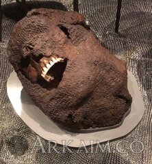 59183033 2095970300458294 6636308755375980544 N