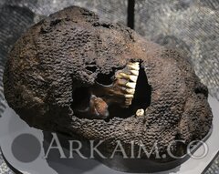 57308566 2095969717125019 2651788468694286336 O